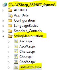 CS Syntax String Manipulation EndsWith
