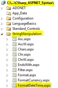 CS Syntax String Manipulation FormatDateTime
