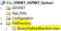 VB.NET ASP.NET Syntax File Directory Binary File Read Random