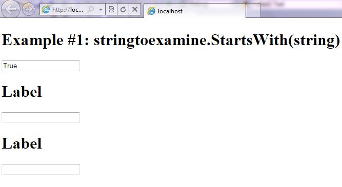 VB.NET Syntax StringManipulation StartsWith screenshot